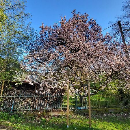 Bergischer Hof - Bergischer Hofgarten 빈덱 외부 사진