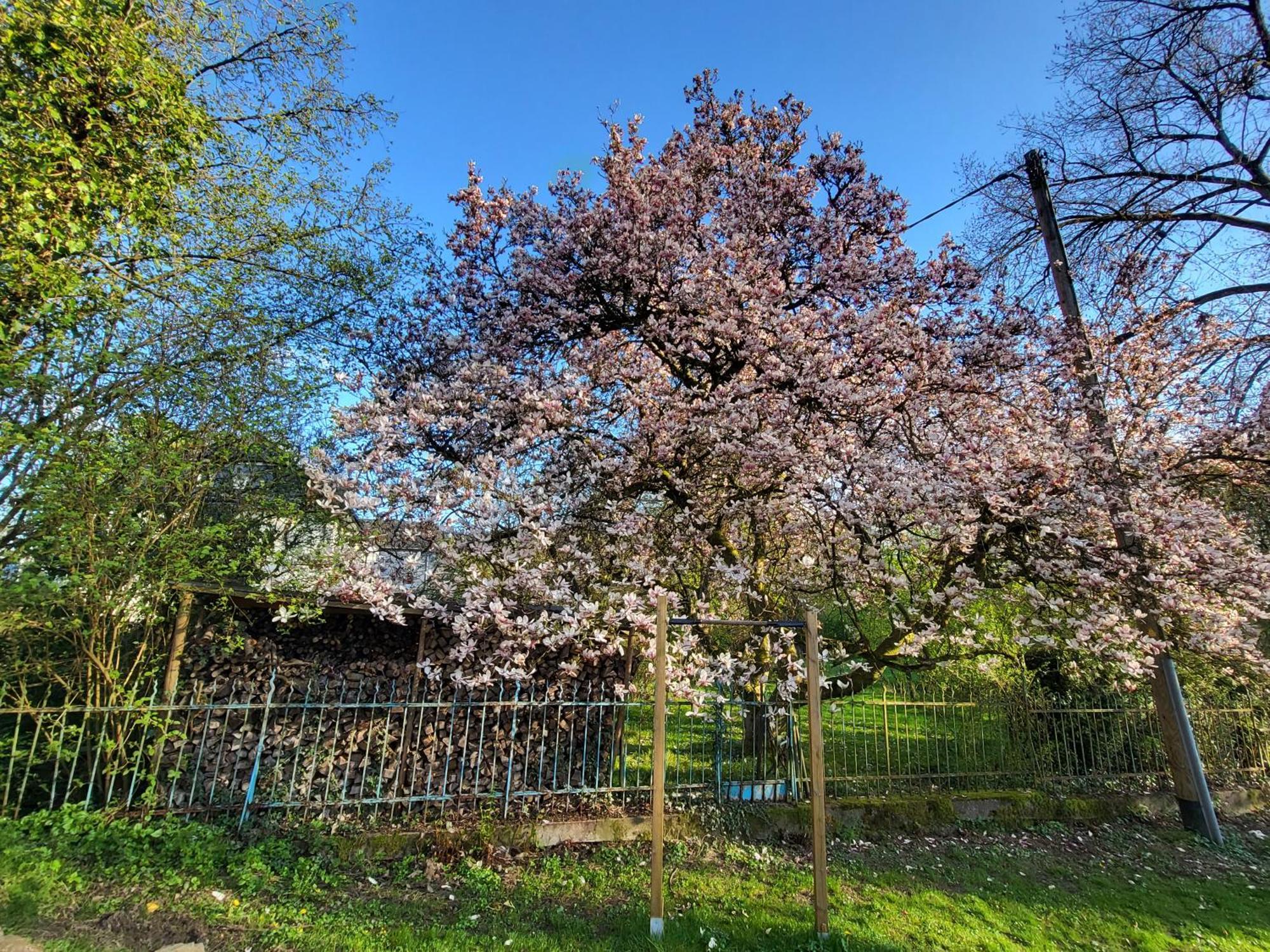 Bergischer Hof - Bergischer Hofgarten 빈덱 외부 사진